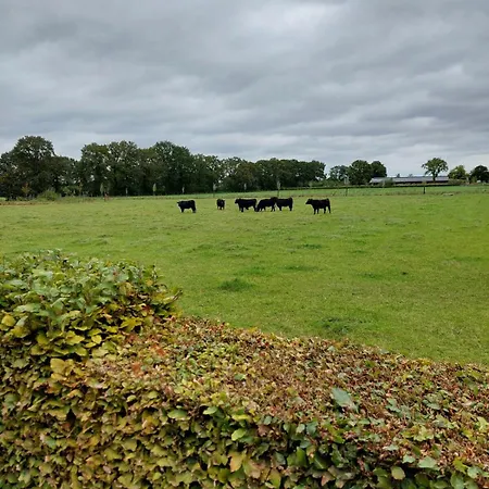 De Groene Zoom